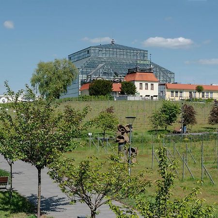 W12 Home Station - Apartement Greenpink Зелена Гура Екстер'єр фото